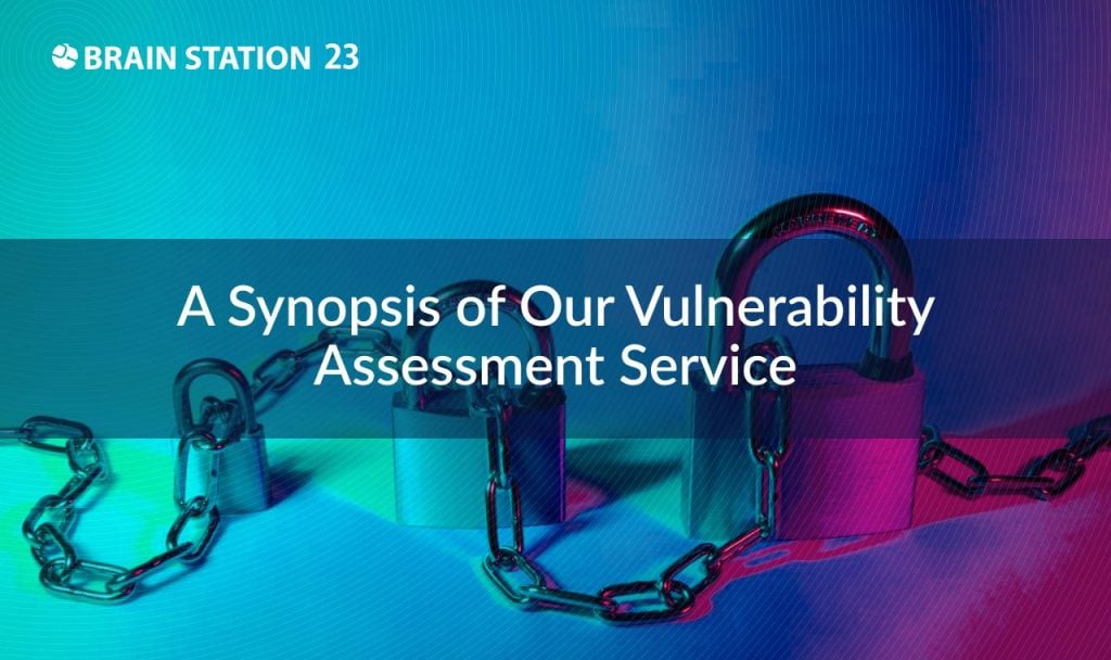 A Synopsis of Our Vulnerability Assessment Service