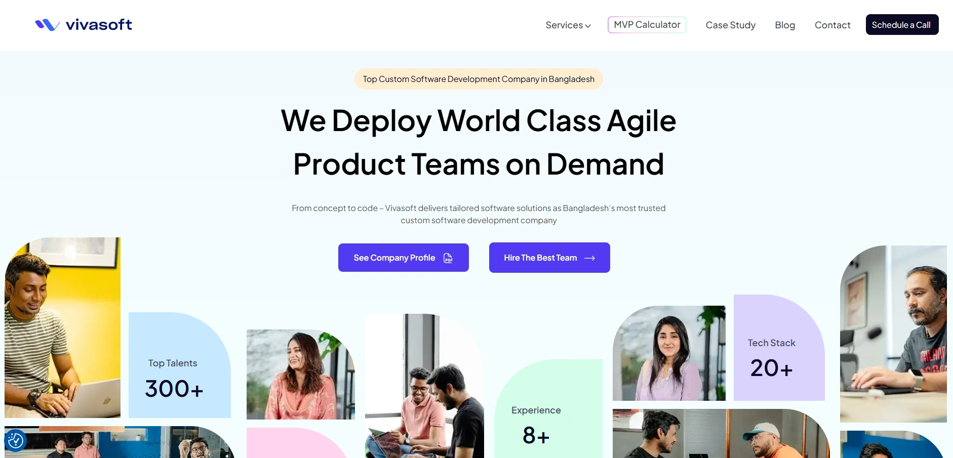 Vivasoft