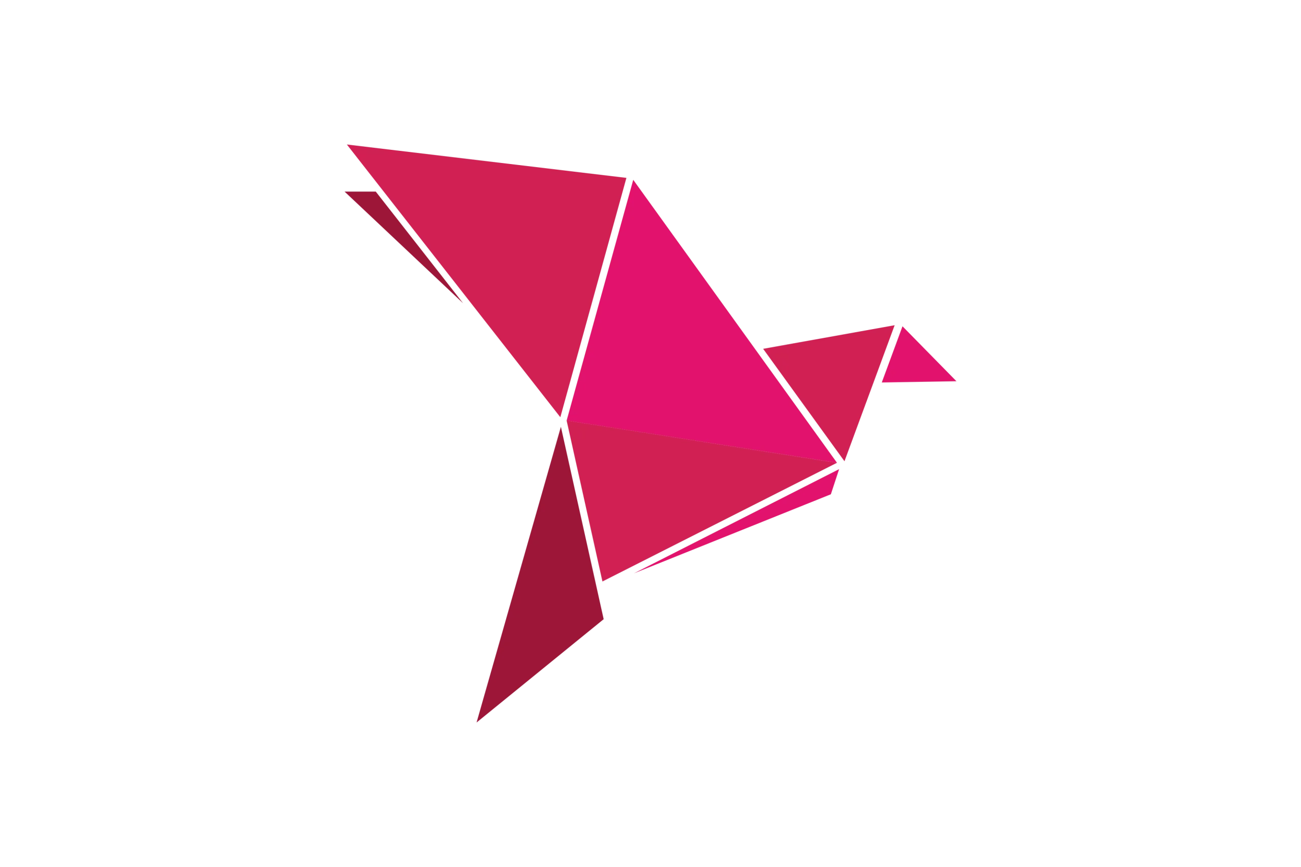eWallet