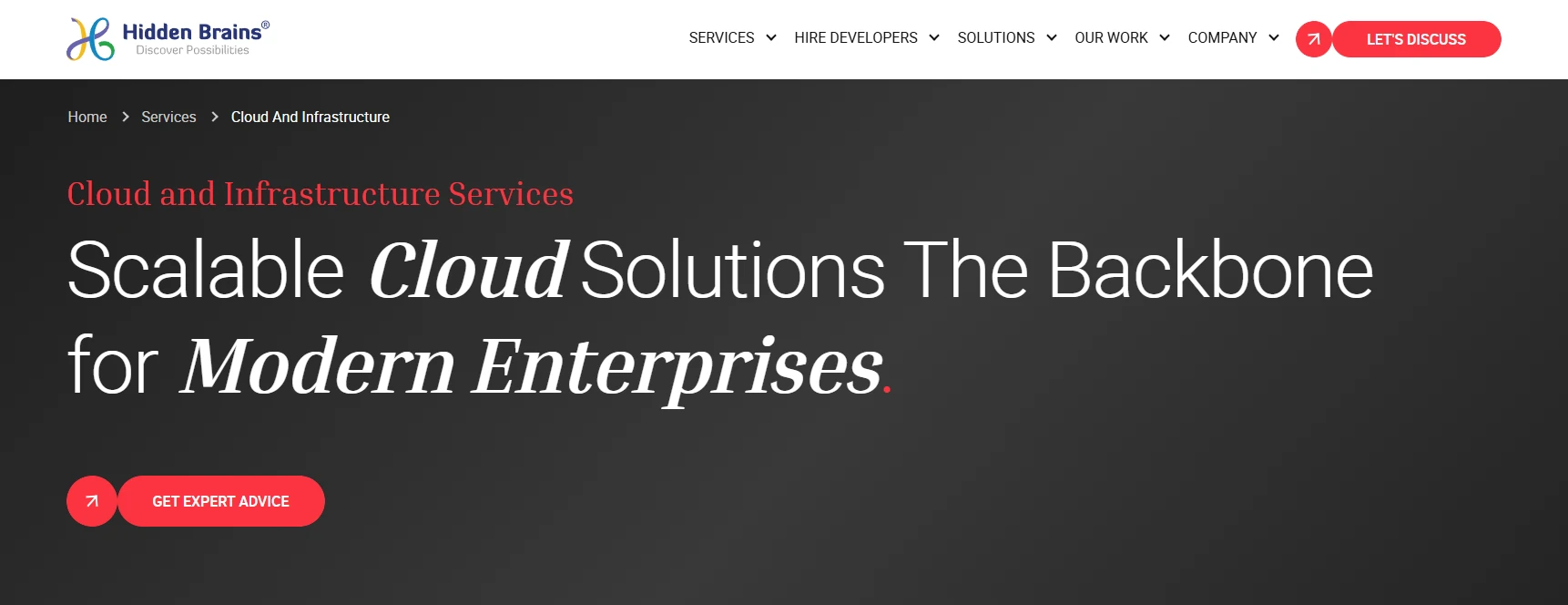Hidden Brains InfoTech cloud-native application development company