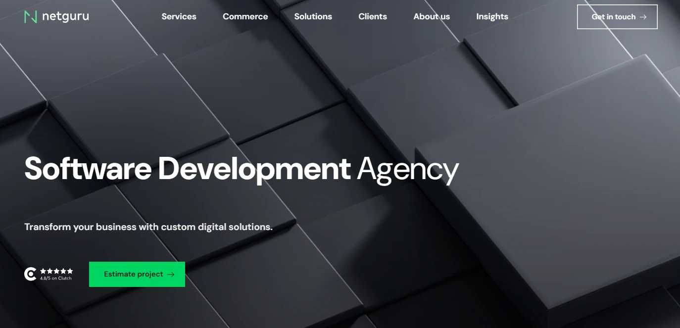 Netguru software development company