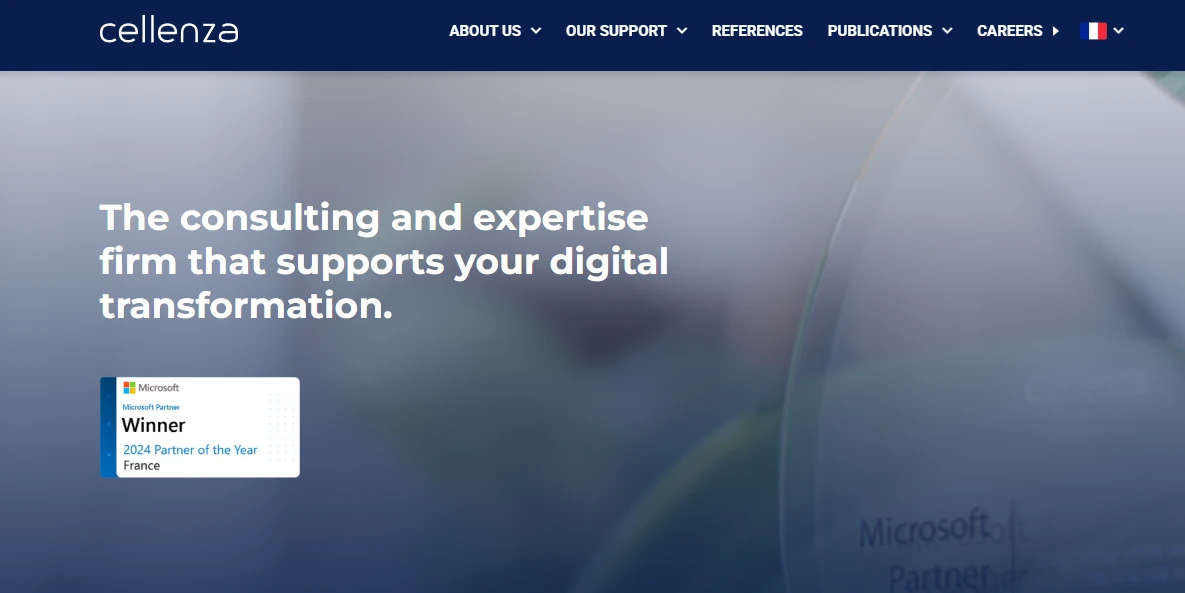 Cellenza software development company